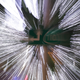 Image for article titled Zoom Photo Challenge Gallery 2